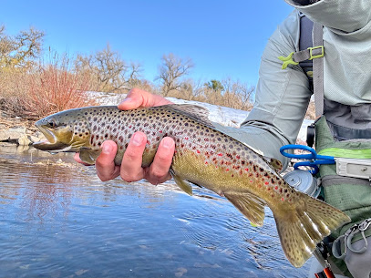 Ascent Fly Fishing photo 1