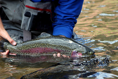 Aspen Flyfishing Inc photo 1