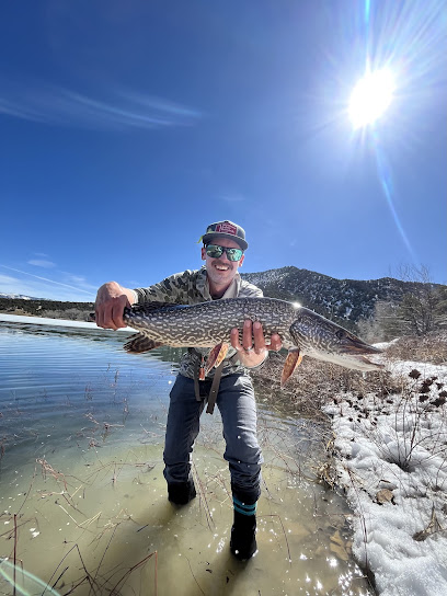 Aspen Trout Guides,Inc. photo 1