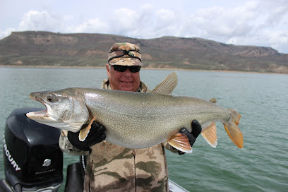Blue Mesa Fishing photo 1