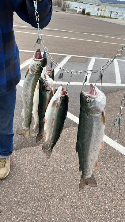 Colorado Friends and Family Fishing photo 1