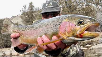 Eagle River Anglers photo 1