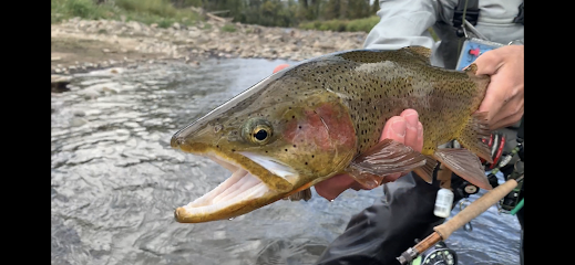 Freestone Anglers photo 1