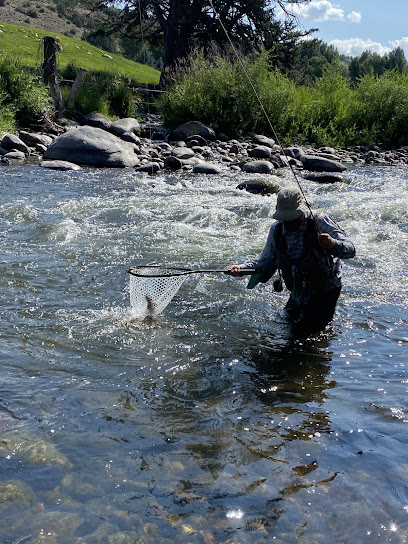 Gore Creek Fly Fisherman photo 1
