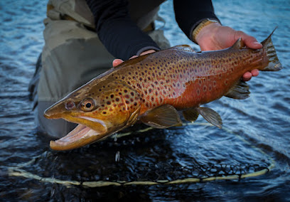 New Age Fly Fishing photo 1