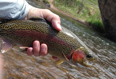 River Trekker Outfitters photo 1