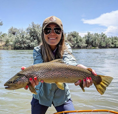 Royal Gorge Anglers photo 1