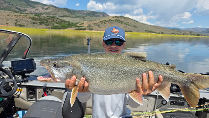 Sport Fish Colorado photo 1