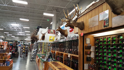 Sportsman's Warehouse photo 1