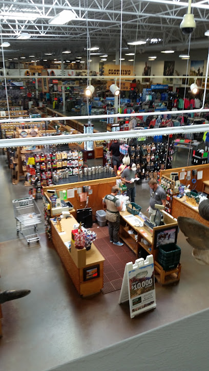 Sportsman's Warehouse photo 1