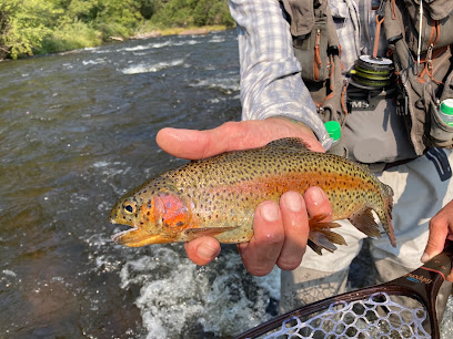 Taylor Creek Fly Shop photo 1