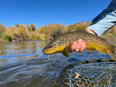 The Blue Quill Angler photo 1