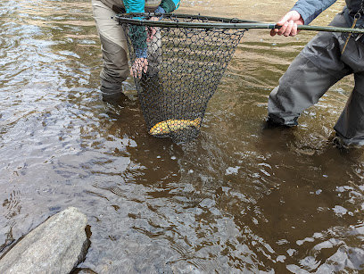 The Broadmoor Fly Fishing Camp photo 1
