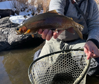 Trouts and Stouts (Flyfishing Outfitter) photo 1