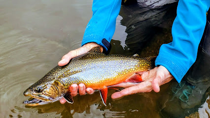 Zen Tenkara / Zen Fly Fishing Gear photo 1